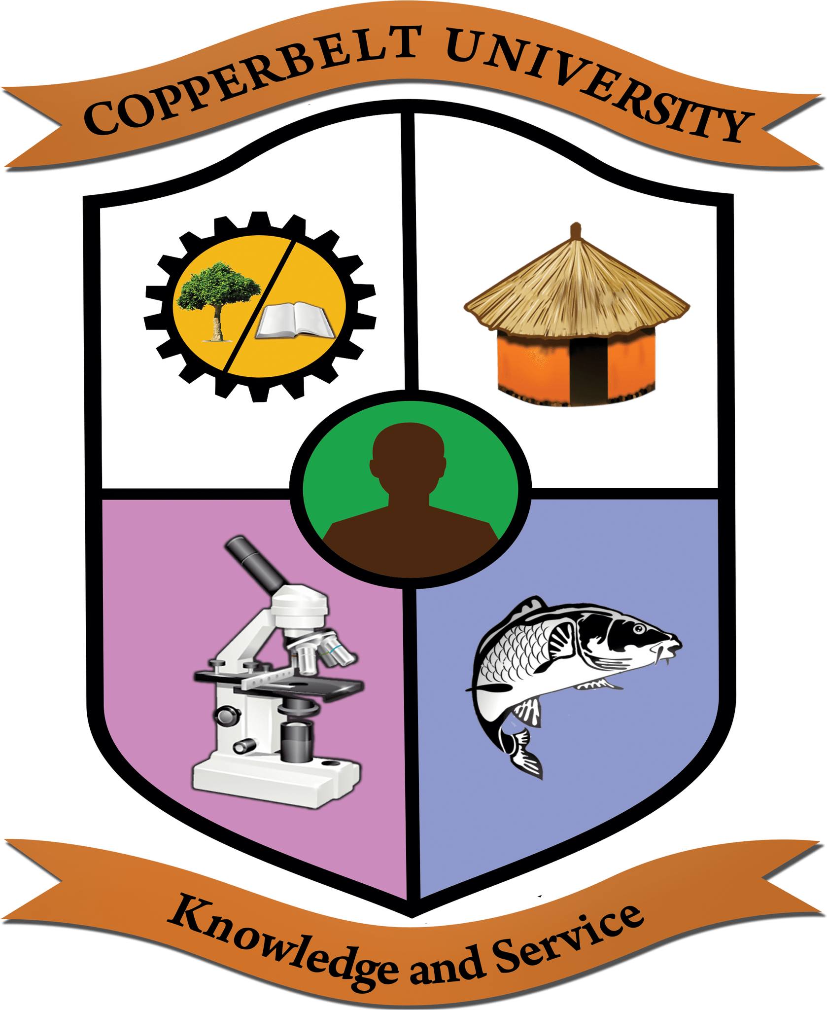 Copperbelt University Zambia